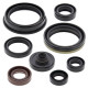 WINDEROSA (VERTEX) Комплект Прокладок для двигуна SUZUKI RMZ450 05-07