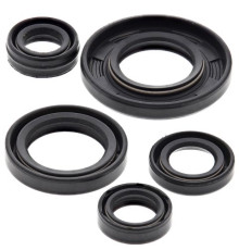 WINDEROSA (VERTEX) Комплект Прокладок для двигуна YAMAHA TTR125 DRUM BRAKE '00-'21