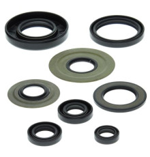 WINDEROSA (VERTEX) Комплект Прокладок для двигуна YAMAHA YFM350 RAPTOR 04-13, WARRIOR 350 87-04