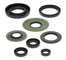 WINDEROSA (VERTEX) Комплект Прокладок для двигуна YAMAHA YFM350 RAPTOR 04-13, WARRIOR 350 87-04
