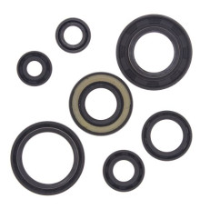 WINDEROSA (VERTEX) Комплект Прокладок для двигуна YAMAHA YFS200 BLASTER 88-06