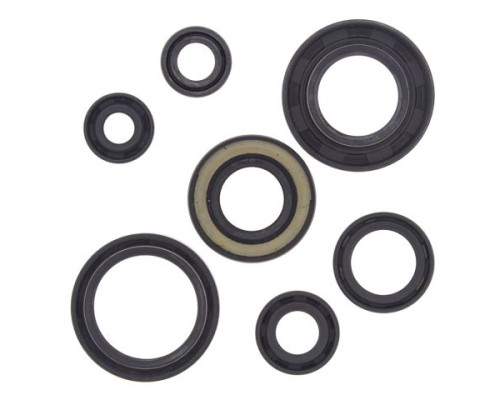 WINDEROSA (VERTEX) Комплект Прокладок для двигуна YAMAHA YFS200 BLASTER 88-06