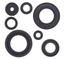 WINDEROSA (VERTEX) Комплект Прокладок для двигуна YAMAHA YFZ350 BANSHEE 87-09