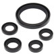 WINDEROSA (VERTEX) Комплект Прокладок для двигуна YAMAHA YFZ450R 09-19, YFZ450X 10-11