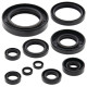 WINDEROSA (VERTEX) Комплект Прокладок для двигуна YAMAHA YZ250(YZ 250) 99-00