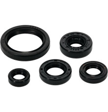 WINDEROSA (VERTEX) Комплект Прокладок для двигуна YAMAHA YZF 250 '19-'22 (YZ 250F) WRF 250 '20'-'22 , FANTIC XEF 250 '22