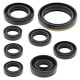 WINDEROSA (VERTEX) Комплект Прокладок для двигуна YAMAHA YZF250 01-13, WR250F 01-13