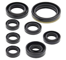 WINDEROSA (VERTEX) Комплект Прокладок для двигуна YAMAHA YZF250 01-13, WR250F 01-13