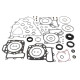 WINDEROSA (VERTEX) Комплект Прокладок для двигуна KAWASAKI KVF750 BRUTE FORCE 15-19, KVF750 BRUTE FORCE EPS 15-19 (З прокладкаМИ ДЛЯ ДВИГУНА)