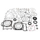 WINDEROSA (VERTEX) Комплект Прокладок для двигуна KAWASAKI KVF750 BRUTE FORCE 15-19, KVF750 BRUTE FORCE EPS 15-19 (З прокладкаМИ ДЛЯ ДВИГУНА)