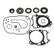 WINDEROSA (VERTEX) Комплект Прокладок для двигуна POLARIS RZR 570EFI '12 (З прокладкаМИ ДЛЯ ДВИГУНА)