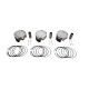 Wossner komplet поршень?w sea doo spark ace '14-'19 (4t) (74,00mm) (поршень 73,94mm) (3szt) (sworze? 17mm) (поршень sea doo) 11.0:1