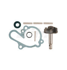 V parts (vicma) ремкомплект водяного насосу am6 (aprilia 50, mbk 50, YAMAHA dt/tzr 50)) (6216)
