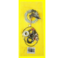 РЕМОНТНИЙ КОМПЛЕКТ СТАРТЕРА ARROWHEAD YAMAHA FJ 1200 91-93, V-MAX, XVZ (ZE SZCZOTKOTRZYMACZEM)