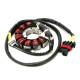 BRONCO ОБМОТКА ГЕНЕРАТОРА СТАТОР CAN AM MAVERIC TURBO RR/MAX TURBO RR '21, (420686363)