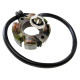 ОБМОТКА ГЕНЕРАТОРА ELECTREX (СТАТОР) KTM SX250 '85-'92, SX125, SX525 '04-'05, SMR560
