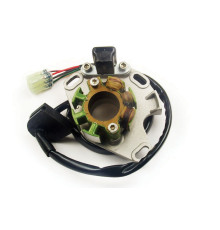 ОБМОТКА ГЕНЕРАТОРА ELECTREX (СТАТОР) SUZUKI RM 250 01-08 КОМПЛЕКТ (З КАБЕЛЯМИ ТА ІМПУЛЬСАТОРОМ)