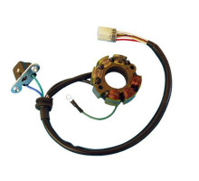 ОБМОТКА ГЕНЕРАТОРА ELECTREX (СТАТОР) SUZUKI RMZ 250, RMZ 450