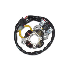 ОБМОТКА ГЕНЕРАТОРА ELECTREX (СТАТОР) З ПІДСВІТЛЕННЯМИ YAMAHA YZF 450 '06-'09 (YZF450,YZ450F)