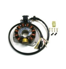 СТАТОР ОБМОТКИ ГЕНЕРАТОРА ELECTREX KTM EXC 125/200/300/380, EGS 125/200 '98-'00 (84X29X14 MM), GAS GAS