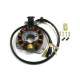 СТАТОР ОБМОТКИ ГЕНЕРАТОРА ELECTREX KTM EXC 125/200/300/380, EGS 125/200 '98-'00 (84X29X14 MM), GAS GAS