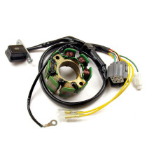 СТАТОР ОБМОТКИ ГЕНЕРАТОРА ELECTREX З ОГНЯМИ SUZUKI RMZ 250 (04-05), KAWASAKI KXF 250 (04-05) - ЗНЯТО З ПРОПОЗИЦІЇ