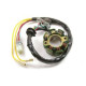 СТАТОР ОБМОТКИ ГЕНЕРАТОРА ELECTREX З ЛІХТАМИ SUZUKI RMZ 250, RMZ 450