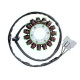 ОБМОТКА ГЕНЕРАТОРА ELECTROSPORT (СТАТОР) BMW S 1000RR 09-17, BMW S 1000RR 13-17, HP4 12-15