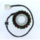 ОБМОТКА ГЕНЕРАТОРА ELECTROSPORT (СТАТОР) KAWASAKI ZR 750 (07-10), Z 750 (07-10), Z 800 (13-15), Z 1000 (07-09)