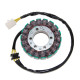 ОБМОТКА ГЕНЕРАТОРА ELECTROSPORT (СТАТОР) KAWASAKI ZX6R/ZX-6RR (05-06), ER-6N (06-11), NINJA 650R (06-11), VERSYS 650 (07-15)