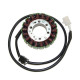 ОБМОТКА ГЕНЕРАТОРА ELECTROSPORT (СТАТОР) YAMAHA V-STAR 1600/1700 (99-04) HI POWER