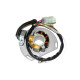 ELECTROSPORT ГЕНЕРАТОР КОТУШКА (СТАТОР) З ЛІХТОМ KTM 125/200/250/300 EXC/SX/XC 06- (50W) В КОМПЛЕКТІ З ПЛАСТИНОЮ ТА ІМПУЛЬСОРОМ