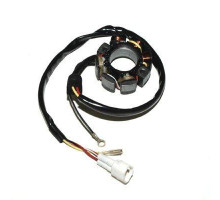 ОБМОТКА ГЕНЕРАТОРА ELECTROSPORT (СТАТОР) З ПІДСВІТЛЕННЯМИ KTM 400/450/525/540/560
