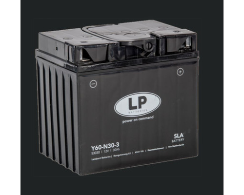 Батарея landport y60-n30-3 (ms l60-n30-3) 12v 30ah (179x125x166mm) (300a) sla не потрібно обслуговується - залито (2)