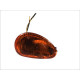 V parts (vicma) покажник повороту передний правий piaggio/vespa et2, et4 50/125 1996-2006 (7324)