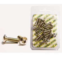 CC ГАЛЬМІВНИЙ ДИСК БОЛТИ КОНІЧНІ M6/18MM (20 ШТ.) TORX T-30