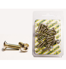 CC ГАЛЬМІВНИЙ ДИСК БОЛТИ КОНІЧНІ M6/18MM (20 ШТ.) TORX T-30