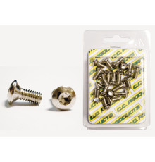 CC ГАЛЬМІВНИЙ ДИСК  ГВИНТИ КОНІЧНІ M6/13MM (20ШТ.) TORX T-30; 10,9HRC (1083-10) (ВИРОБИ CC)