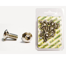 CC ГАЛЬМІВНИЙ ДИСК  ГВИНТИ КОНІЧНІ M6/13MM (20ШТ.) TORX T-30; 10,9HRC (1083-10) (ВИРОБИ CC)