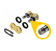 Regina chain clip 520zse (42/135zse) (колір золота)