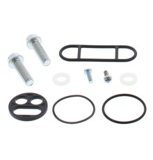 All balls kawasaki zx10 88-90 crank repampkit