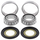 All balls підшипники рами з сальниками bmw g450 '08-'11, harley davidson road king, electra glide, street glide '14-'16