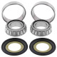 All balls підшипники рами з сальниками bmw g450 '08-'11, harley davidson road king, electra glide, street glide '14-'16