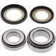 All balls підшипники рами з уплотненнями suzuki dr 125 '86-'88 dr 250 '82-'85 dr 650se '90-'91 rm 125 '81-'86 rm 250 '81-'86 rm 465 '81-'82 rm