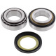 All balls підшипники рами з уплотненнями yamaha xp 500 t-max '09-'11, yzf r6 '06-'18, fz1 '06-'15, yzf r1 '07-'18, fz8 '11-'16, mt09 '13-'15