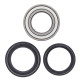 All balls підшипники передніх коліс з уплотненнями kawasaki klf 300/400, kvf 400