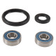 All balls підшипники передніх коліс з уплотненнями kawasaki klx250/300r '94-'07, klx650c/r '93-'96, kdx250 '92-'94