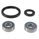 All balls підшипники передніх коліс з уплотненнями kawasaki klx250/300r '94-'07, klx650c/r '93-'96, kdx250 '92-'94