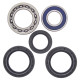 All balls задні підшипники з уплотненнями yamaha yfm600 grizzly '99-'01, yfm350 grizzly '07-'14, big gear 400 '00-'06 - заміна 25-1506