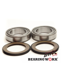 Підшипник worx рамна головка підшипники з уплотненнями aprilia, ducati, honda, kawasaki, moto-guzzi (22-1039) = sbk50006 = sbk30006 = sbk95002